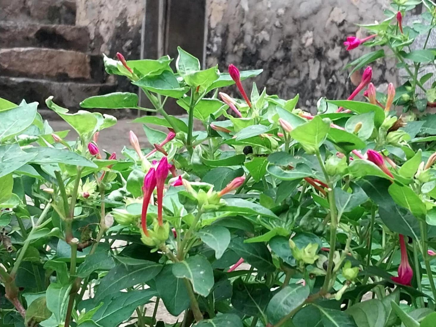 Trieu Hoan Homestay Cao Bang Exteriér fotografie